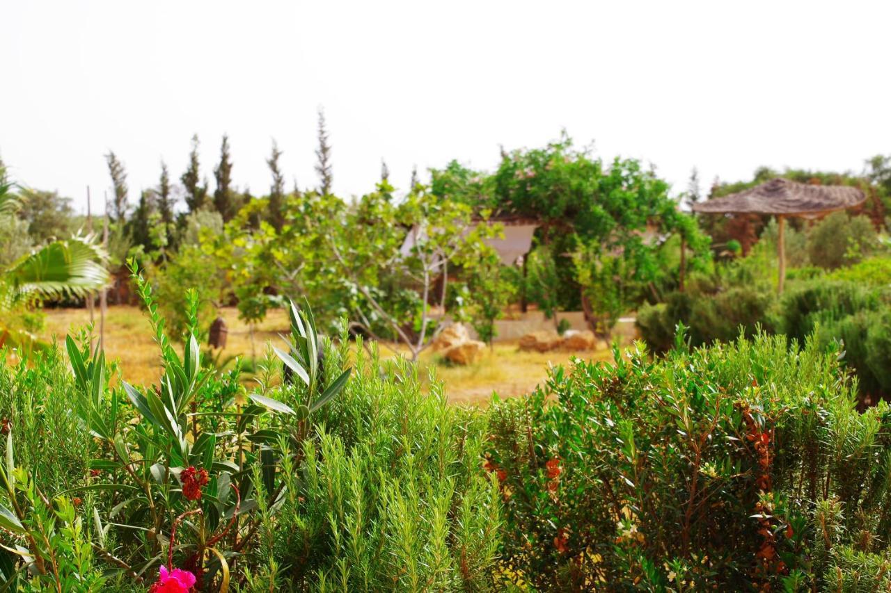 Artgana Lodge Essaouira Exterior photo